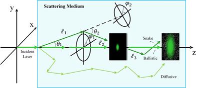 Comparative analysis of diffusion length based on the volume scattering function measurements from the East and South China Seas